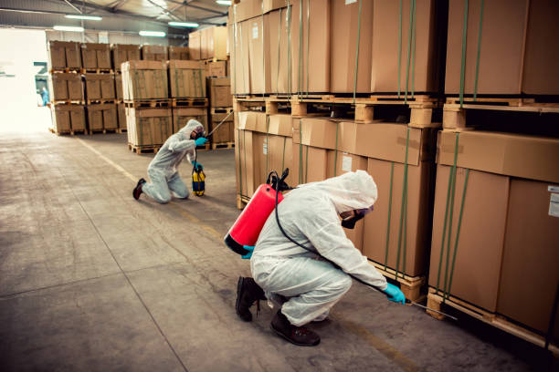 Best Affordable Pest Control Services  in Dover Beaches North, NJ