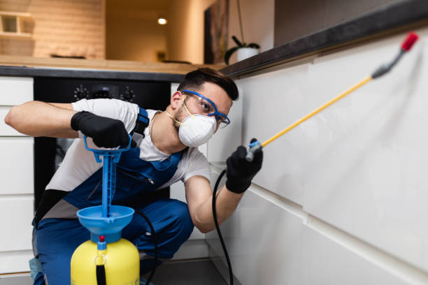 Best Pest Control Near Me  in Dover Beaches North, NJ
