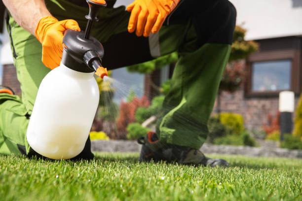 Best Pest Removal Services  in Dover Beaches North, NJ