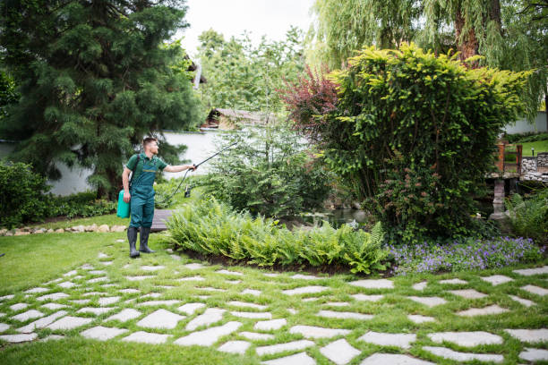 Reliable Dover Beaches North, NJ Pest Control Solutions