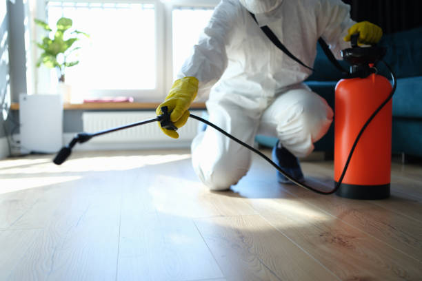 Best Flea Control Services  in Dover Beaches North, NJ