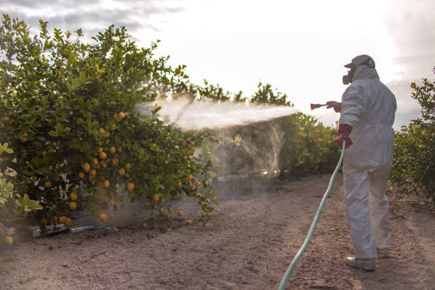 Best Best Pest Control Companies  in Dover Beaches North, NJ